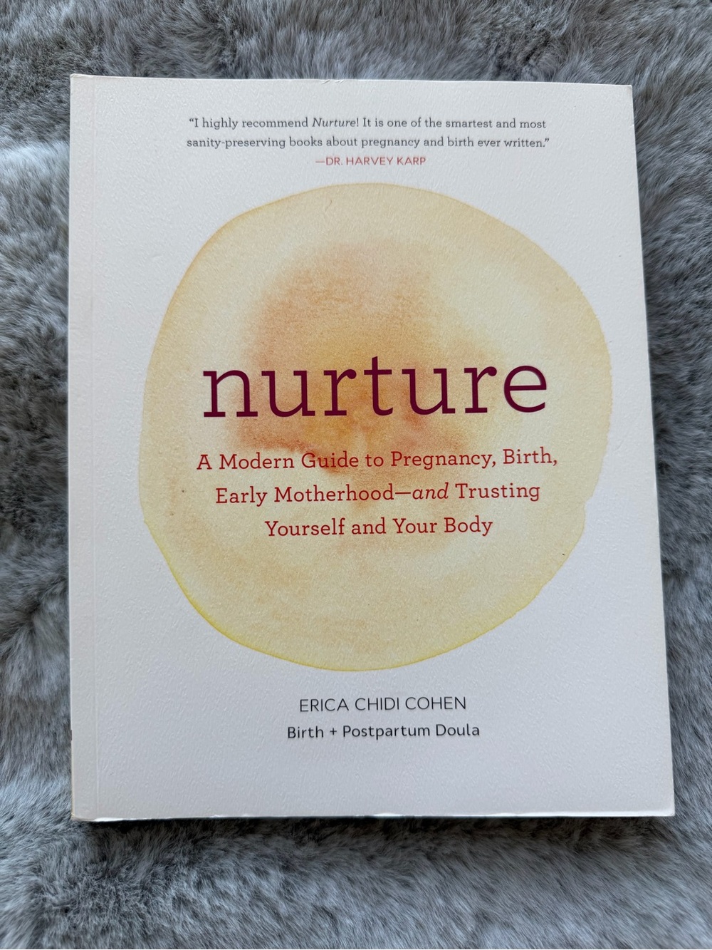 Nurture: A Modern Guide to Pregnancy, Birth, Early Motherhood